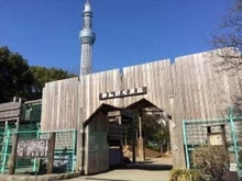 【東京都/墨田区押上】エクセレントシティ押上 わんぱく天国（現地より約600m）