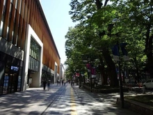 【東京都/府中市宮町】プラウド府中ステーションアリーナ  けやき並木通り（現地より約47m）