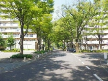 【東京都/府中市晴見町】府中グリーンハイツ 4号棟 前面道路