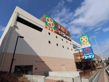 【神奈川県/横浜市戸塚区汲沢町】ぐみさわ東ハイツ 壱号棟 ライフ 戸塚汲沢店（現地より約220m）