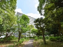 【神奈川県/横浜市戸塚区俣野町】県ドリームハイツ壱七号棟 外観：写真中央