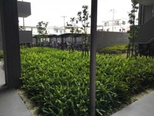 【大阪府/吹田市垂水町】ウェリス吹田豊津シティハウス 敷地内
