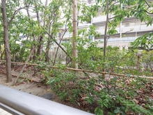 【兵庫県/神戸市東灘区住吉本町】グランドメゾン住吉本町ネクス 眺望