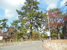 【兵庫県/西宮市清水町】グランステイツ夙川アネックス 夙川公園（現地より約630m）