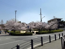 【兵庫県/西宮市名次町】プラウド夙川名次町 西宮震災記念碑公園（現地より約350m）