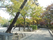 【兵庫県/西宮市清水町】グランステイツ夙川アネックス 西田公園（現地より約180m）