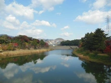 【兵庫県/西宮市清水町】グランステイツ夙川アネックス ニテコ池（現地より約430m）