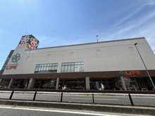 【兵庫県/西宮市松園町】プラウド夙川松園町 ライフ夙川店（現地より約330m）