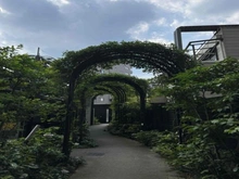 【兵庫県/宝塚市湯本町】ウエリス宝塚 敷地内