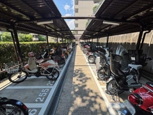 【兵庫県/西宮市樋之池町】苦楽園ヒルズ 1号棟 駐輪場