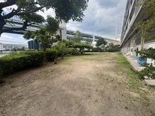 【兵庫県/神戸市東灘区深江浜町】東部マンション C棟 敷地内