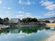 【兵庫県/西宮市名次町】プラウド夙川名次町 ニテコ池（現地より約60m）