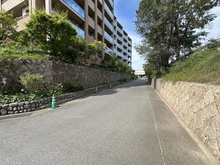 【兵庫県/西宮市松並町】ジェイグラン甲子園口松並町 前面道路