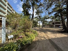 【兵庫県/西宮市松並町】ジェイグラン甲子園口松並町 松並公園（現地より約190m）