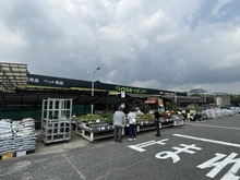 【兵庫県/西宮市神垣町】藤和夙川ホームズ ロイヤルホームセンター西宮（現地より約960m）：