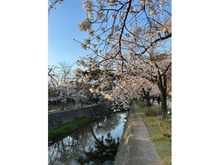 【兵庫県/西宮市堀切町】香櫨園フラットB棟 夙川公園（現地より約620m）：