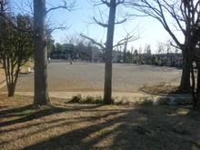 【神奈川県/横浜市青葉区若草台】フォンテーヌブロー青葉台  若草台第一公園（現地より約270m）