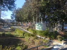 【神奈川県/横浜市青葉区若草台】フォンテーヌブロー青葉台 若草台第二公園（現地より約290m）