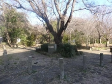 【神奈川県/横浜市青葉区若草台】フォンテーヌブロー青葉台 桜台公園（現地より約400m）