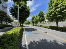 【神奈川県/川崎市宮前区南平台】ベルフォーレ宮前平 前面道路