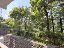 【神奈川県/横浜市緑区霧が丘】霧が丘グリーンタウン　 第1-6号棟 眺望