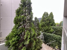 【神奈川県/川崎市高津区北見方】パークスクエア二子多摩川 眺望