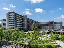 【東京都/町田市鶴間】パークビレッジ南町田 外観：敷地内。四季折々の植栽が植えられています