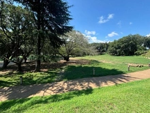 【東京都/町田市鶴間】パークビレッジ南町田  鶴間公園（現地より約700m）