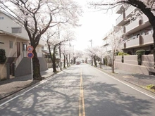 【神奈川県/横浜市青葉区桜台】青葉台ヒルズ 前面道路