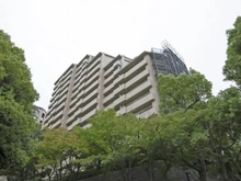【神奈川県/横浜市都筑区中川】港北ガーデンヒルズ A棟 外観：大規模修繕中