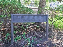 【神奈川県/横浜市青葉区荏田北】東急ドエル江田ロビニア マンション表札