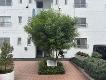 【神奈川県/横浜市青葉区千草台】藤が丘スカイマンション 外観