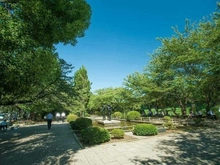 【東京都/千代田区平河町】グローリア平河町  千代田区立千鳥ヶ淵公園（現地より約700m）