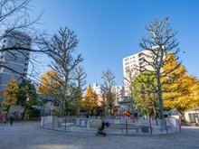 【東京都/台東区蔵前】スカイコート蔵前 台東区立精華公園（現地より約160m）