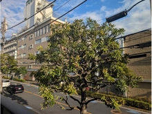 【東京都/文京区西片】オープンレジデンシア文京西片 眺望