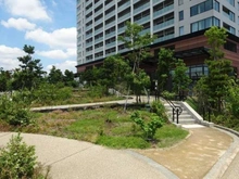 【東京都/目黒区大橋】クロスエアタワー 敷地内