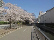 【東京都/江東区南砂】プラウド東陽町ガーデンズ 仙台堀川公園（隣接）（現地より約30m）