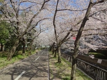 【東京都/江東区南砂】プラウド東陽町ガーデンズ 仙台堀川公園（隣接）（現地より約30m）