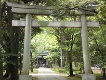【東京都/港区赤坂】ディアクオーレ乃木坂  赤坂氷川神社（現地より約680m）