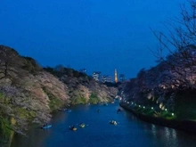 【東京都/千代田区四番町】サンビューハイツ四番町 千鳥ヶ淵（現地より約1,005m）