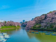 【東京都/千代田区四番町】サンビューハイツ四番町 千鳥ヶ淵（現地より約1,005m）