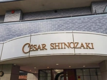 【東京都/江戸川区篠崎町】セザール篠崎 マンション表札