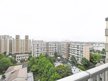 【千葉県/市川市塩浜】ハイタウン塩浜第弐 弐九号棟 眺望