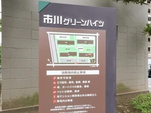 【千葉県/市川市南大野】市川グリーンハイツ D棟 マンション表札：案内図