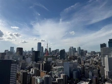 【東京都/港区芝浦】GLOBAL FRONT TOWER　グローバルフロントタワー 眺望：ズーム無