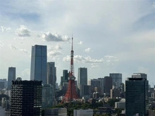 【東京都/港区芝浦】GLOBAL FRONT TOWER　グローバルフロントタワー 眺望：ズーム有