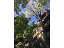 【東京都/世田谷区玉川】パークコート二子玉川 壱番館 外観