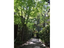 【東京都/世田谷区玉川】パークコート二子玉川 壱番館 敷地内