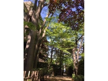 【東京都/世田谷区玉川】パークコート二子玉川 壱番館 敷地内