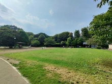 【東京都/港区白金台】白金台グロリアハイツ 区立白金台どんぐり児童遊園（現地より約60m）